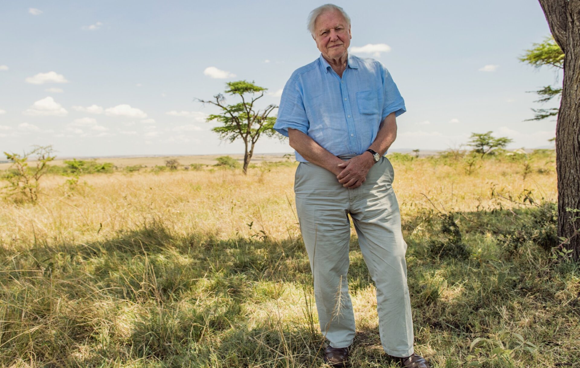 COP 26 Sir David Attenborough Delivers Stark Act Now Climate Warning   SirDavidAttenborough 