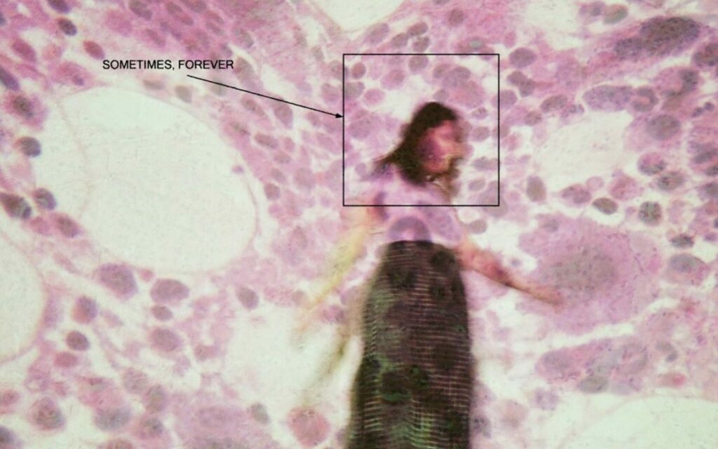 Soccer Mommy album cover featuring a blurry pink and white picture of a girl