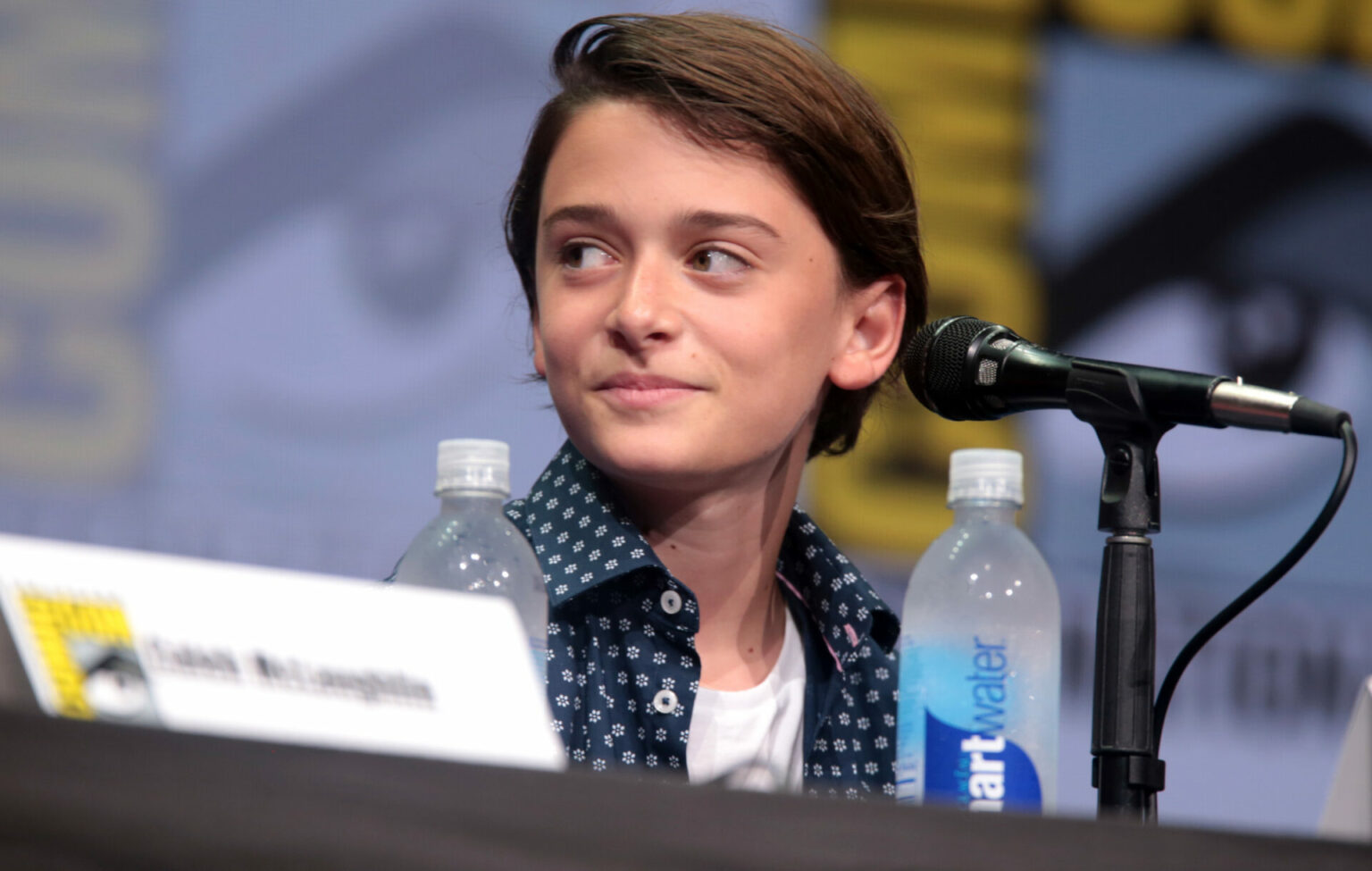 Stranger Things' Noah Schnapp comes out as gay