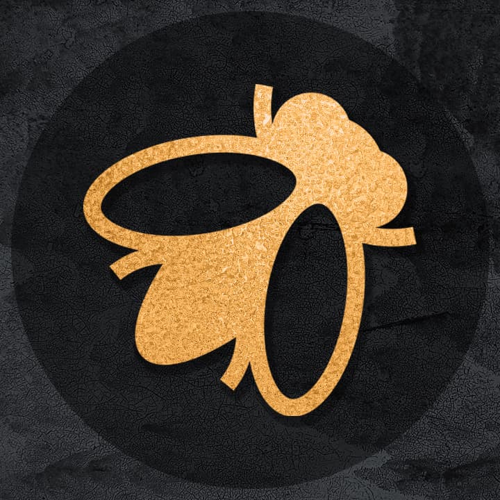 Pennyfly logo