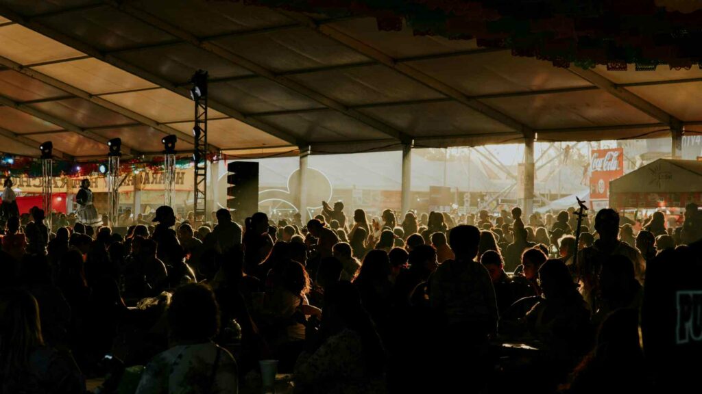 A crowd at a festival